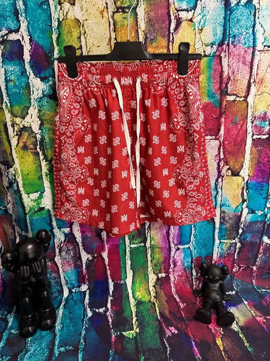 Amiri swimshorts